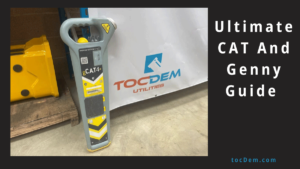 CAT AND GENNY TEST QUESTIONS AND ANSWERS PDF visual data 4